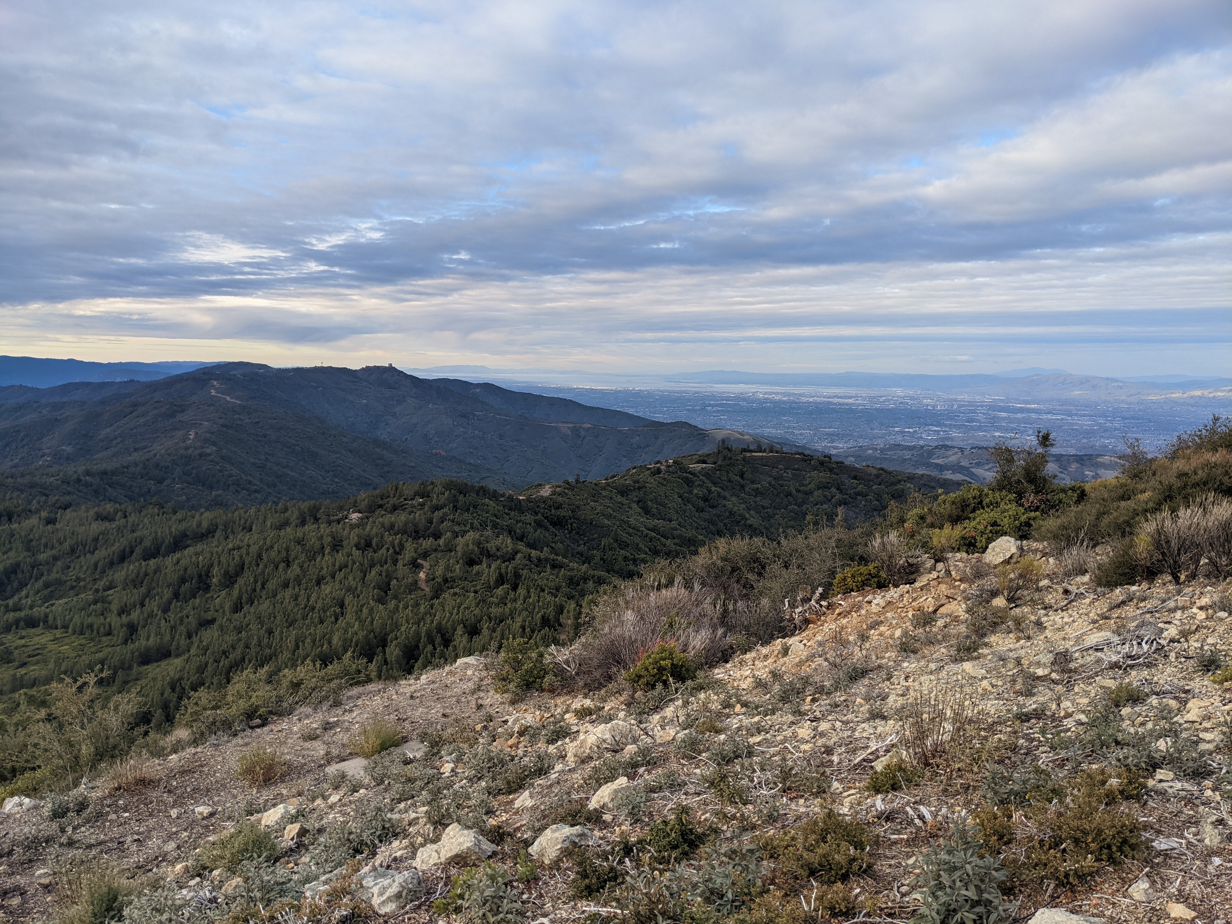 PXL_20210131_000828411
